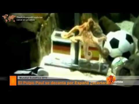 Imagen de previsualización de YouTube