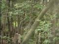 サバゲ道 狙撃2 airsoft sniper