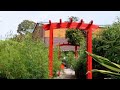 Containerpflanzen Münster, Westf GARTEN-WELTEN Niederbeckmann GmbH