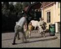 twistedmovies-pipi-kortkous-dutch-voiceover.html