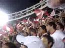 sexto grande pincharratas  3  gallinas  1