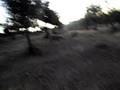 videos de D.I.C.A. @ sta.eulalia