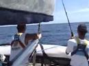 Fish On
