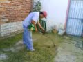 Baggio Podando Baggio Podando