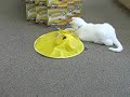 Undercover Mouse Interactive Cat Toy