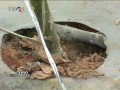 Click here to watch this video KIBBUTZ NAANDANJAIN