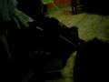 alhya