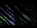 Black Arowana - Higher Quality