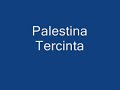 Palestina Tercinta - Shoutul Harakah