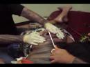 traditional samoan tatau by michael fatutoa