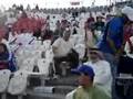 الجمهور الكويتي في كاس الخليج الاخير