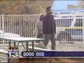 11/7/07 10 p.m.:  Dog disrupts knife attack