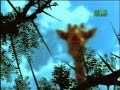 on animal planet's series 