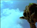 on animal planet's series 
