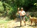 videos de Circuito de bosque 3D