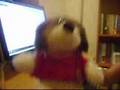 videos de - My Space -