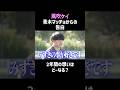 【風吹ケイ】2年間の想いはどーなる？