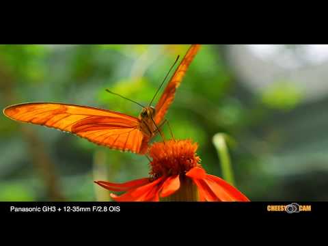 Video Test – Panasonic Lumix GH3 with the New 12-35mm f 2.8 Lens – STUNNING!