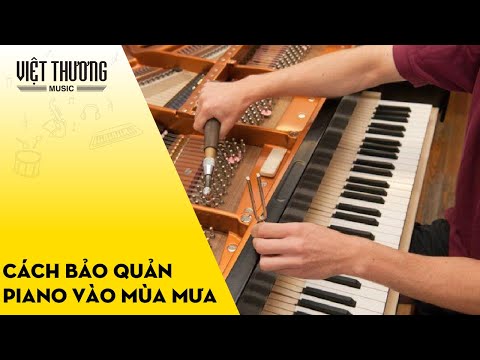 Hướng dẫn bảo quản đàn piano vào mùa mưa