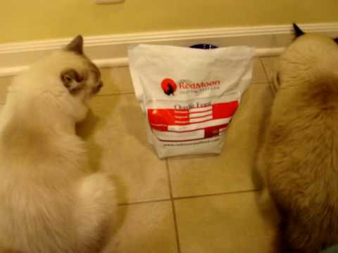 0 RedMoon Custom Pet Food   Review Of Charlie Feast