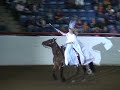 aphc world champion freestyle reining 2006