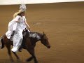 aphc world champion freestyle reining 2006