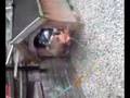 videos de uncle in the dog house