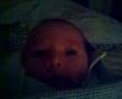 Alec 1.28.2008
