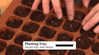 Quick Start Gardening Guide: Burpee's Self Watering Seed Starting Kits