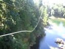 The King Swing