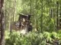 videos de Timber Cutting using Heavy Equipment
