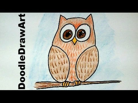 how to draw an owl