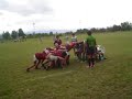 scrawn tigres