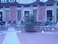 A7X CANCELED??!?!!?!! (part 2)