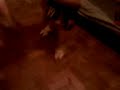 ellos-bailan-2.html
