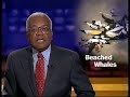 ITV News at Ten with Trevor Mcdonald - 2002