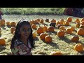 Adobe PumpkinPatch 2009 HVSS Visit 1