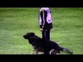 Preview video <strong>Hannu Liljegnen 	Ratsumestarin Gonrad  Protection</strong>
