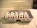 Hilarious Screaming Eggs!