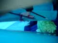 Guy with beard gets a brutal awakening (�hus)