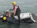 Portuguese Navy - PWC Rescue training - Polícia Marítima