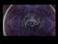 ファイナルファンタジー12動画