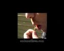 Audun Eriksen-Bumble bee music