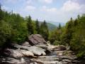 Fly Fishing Pisgah National Forest