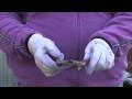 Plant Care & Gardening : About Pruning Tools