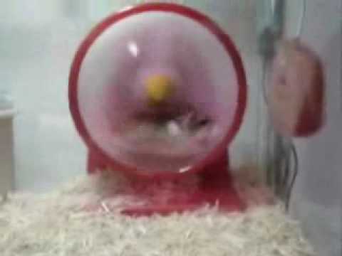 The Funniest Stuff Ever - FunnyStuff.gr
