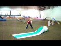 Xolo Agility Quixote Excellent Standard.MOV