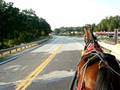 Horse and Buggy Crosssing Bridge