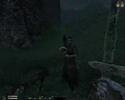 Oblivion FCOM Convergence fight 2