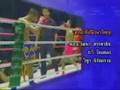 Lumpinee tv opening